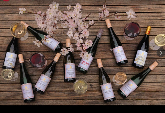 Donnerstag, 16. November 2025, 12:30 Wine & Dine mit Stiglers vom Kaiserstuhl