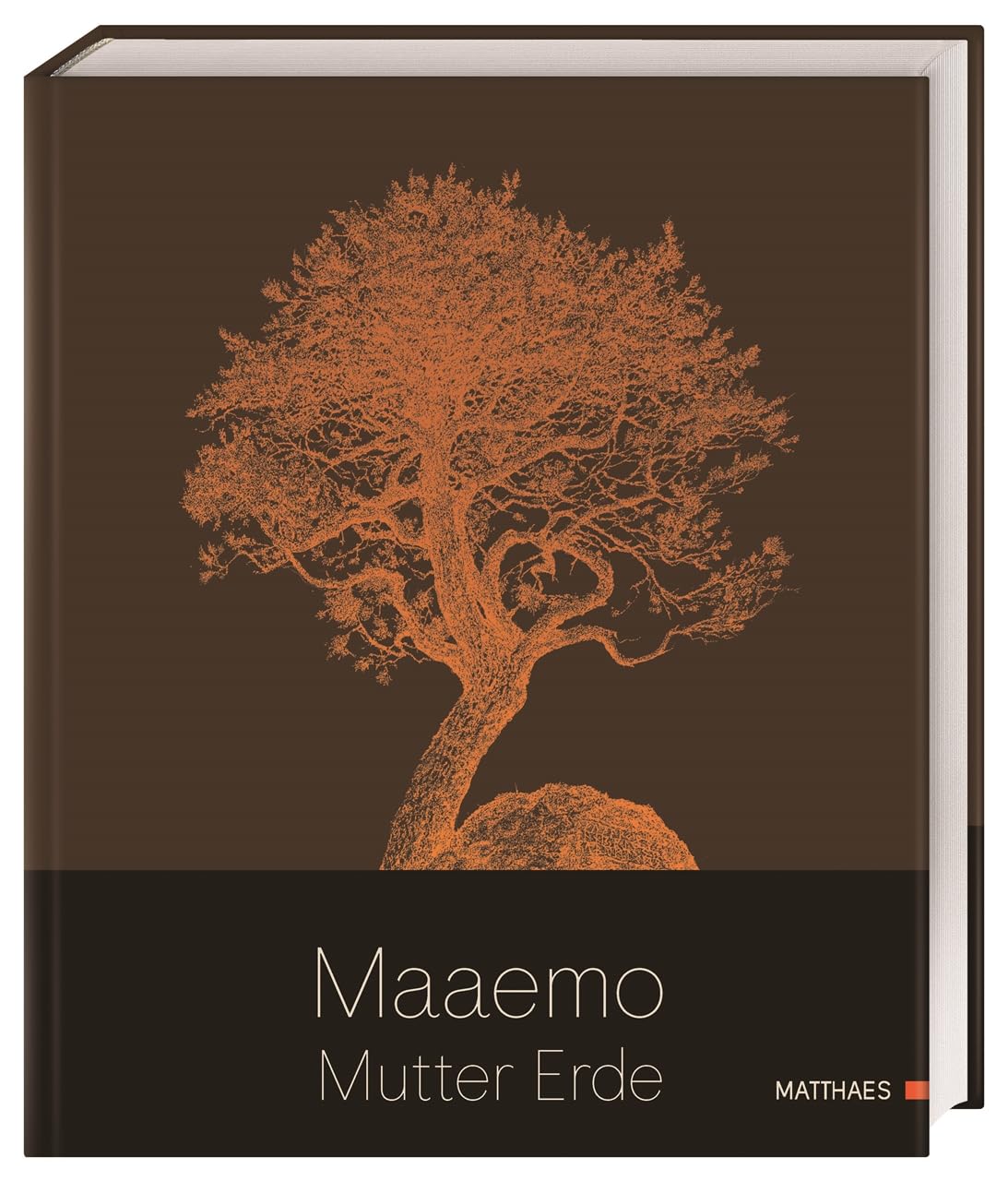 Maaemo: Mutter Erde Matthaes Verlag