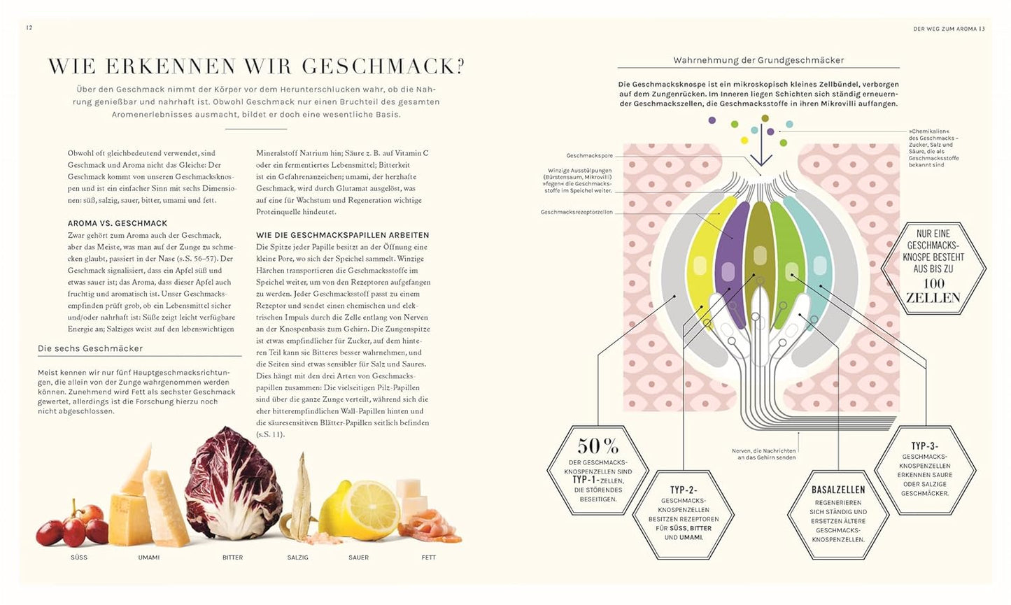 So funktioniert Geschmack - Wissenschaftliche Fakten und verblüffende Hacks: Für noch mehr Aroma in der Küche. Entscheidende Fragen rund um Food Pairing