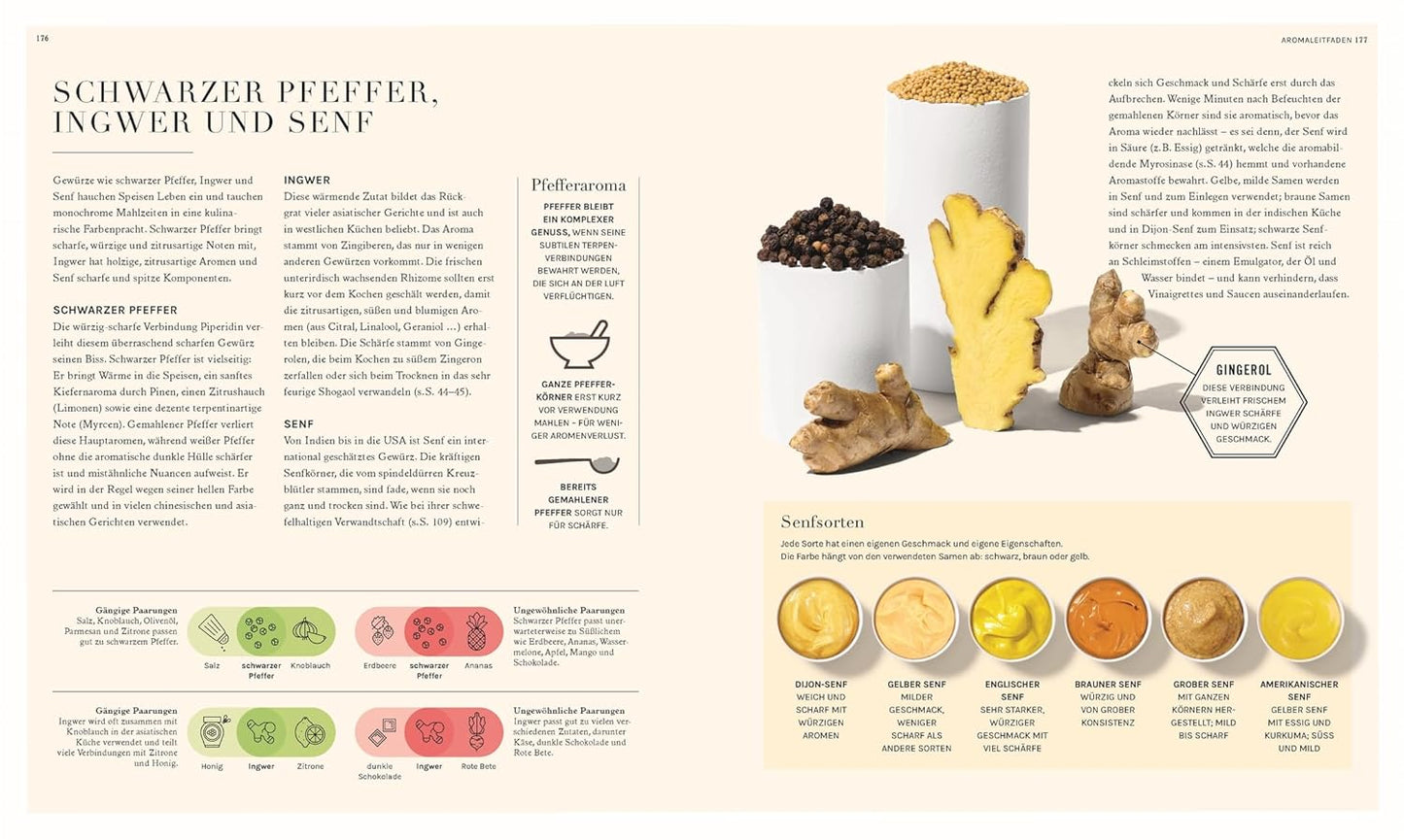 So funktioniert Geschmack - Wissenschaftliche Fakten und verblüffende Hacks: Für noch mehr Aroma in der Küche. Entscheidende Fragen rund um Food Pairing