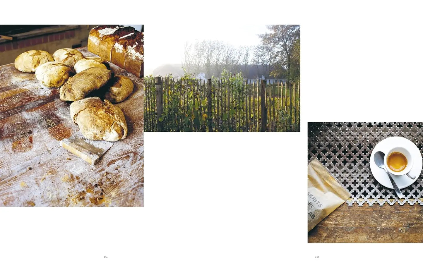 Modern Nordic: Über 100 Rezepte aus den Küchen Skandinaviens. Stilvolles skandinavisches Kochbuch mit atemberaubenden Bildern DK Verlag Dorling Kindersley