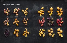 Kartoffel - Das große Kochbuch; Einfach gute Rezepte - Über 120 Grundrezepte und Varianten, Klassiker und Spezialitäten aus aller Welt