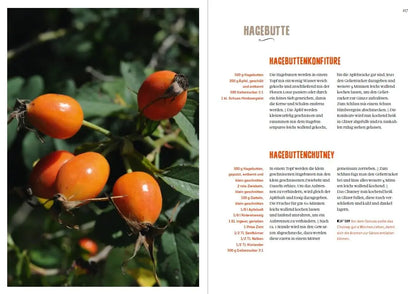Die Einkoch-Bibel. 350 x Marmeladen, Gelees, Chutneys, Säfte & Co