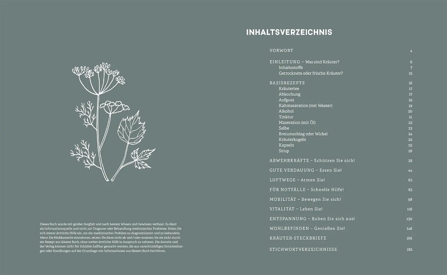 Das kleine Handbuch der Kräuterapotheke: Natürliche Heilmittel für Gesundheit und Wohlbefinden. 125 wirksame Rezepturen für den Alltag