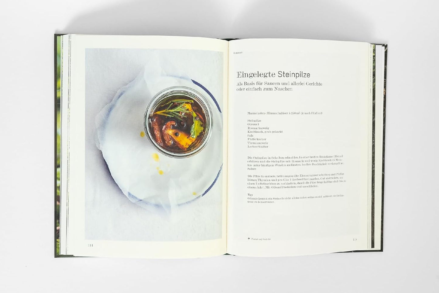 Pilze aus Wald und Stadt: Rezepte und Porträts. Kunstvolle Pilzporträts, Expertenwissen und saisonale vegetarische Rezepte AT Verlag