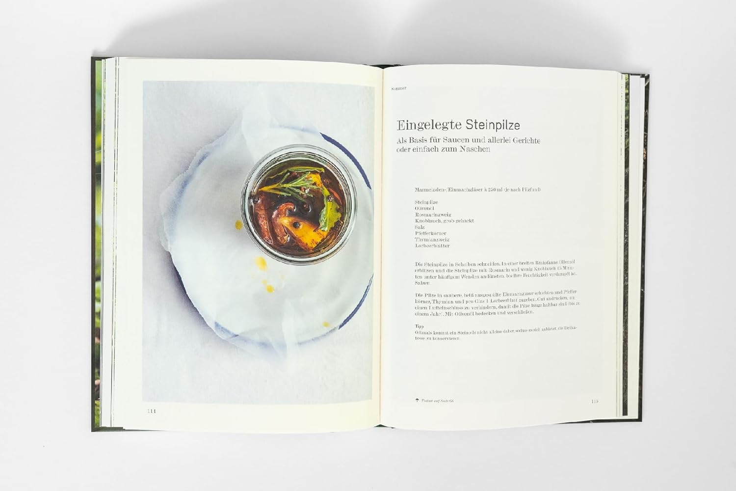 Pilze aus Wald und Stadt: Rezepte und Porträts. Kunstvolle Pilzporträts, Expertenwissen und saisonale vegetarische Rezepte AT Verlag