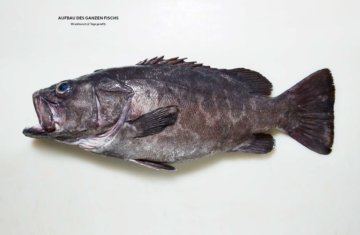 Der ganze Fisch: Rezepte von der Flosse bis zur Kieme: Kochbuch für nachhaltige, ganzheitliche Fischküche: 60 Rezepte und Warenkunde mit Step-by-Step ... Räuchern, Pökeln, Trockenreifen uvm