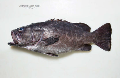 Der ganze Fisch: Rezepte von der Flosse bis zur Kieme: Kochbuch für nachhaltige, ganzheitliche Fischküche: 60 Rezepte und Warenkunde mit Step-by-Step ... Räuchern, Pökeln, Trockenreifen uvm