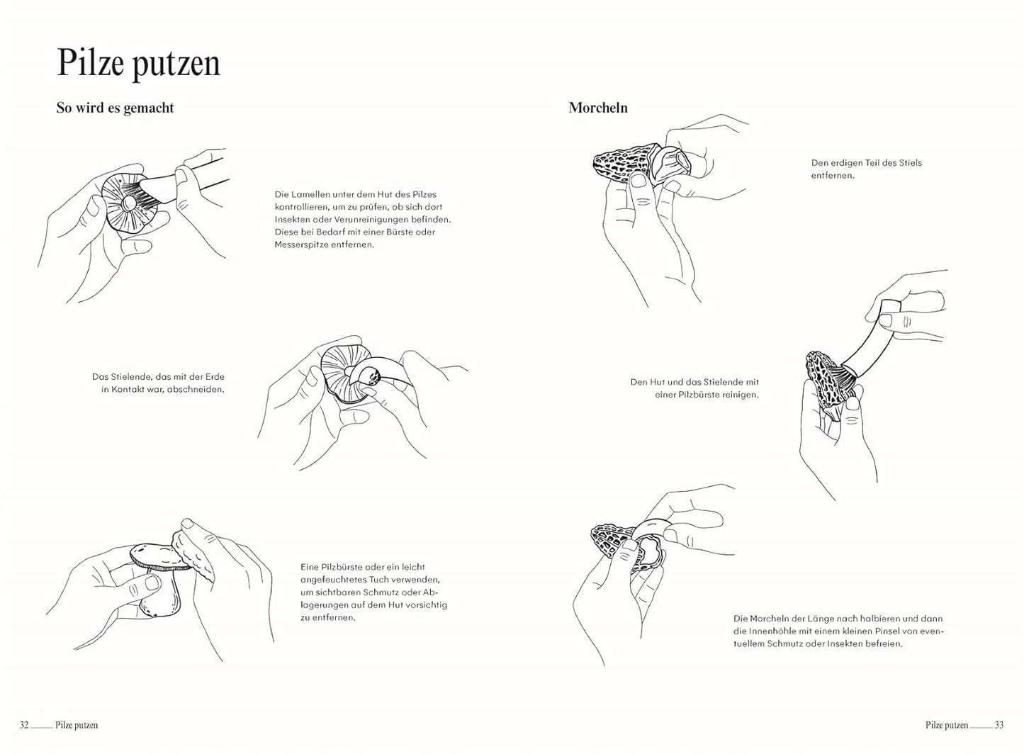 Pilze. Das Kochbuch: Klassische und kreative Rezepte mit Champignons, Seitlingen, Enoki und mehr. Über 60 Pilz-Gerichte & Porträts zu beliebten Pilzsorten DK Verlag Dorling Kindersley