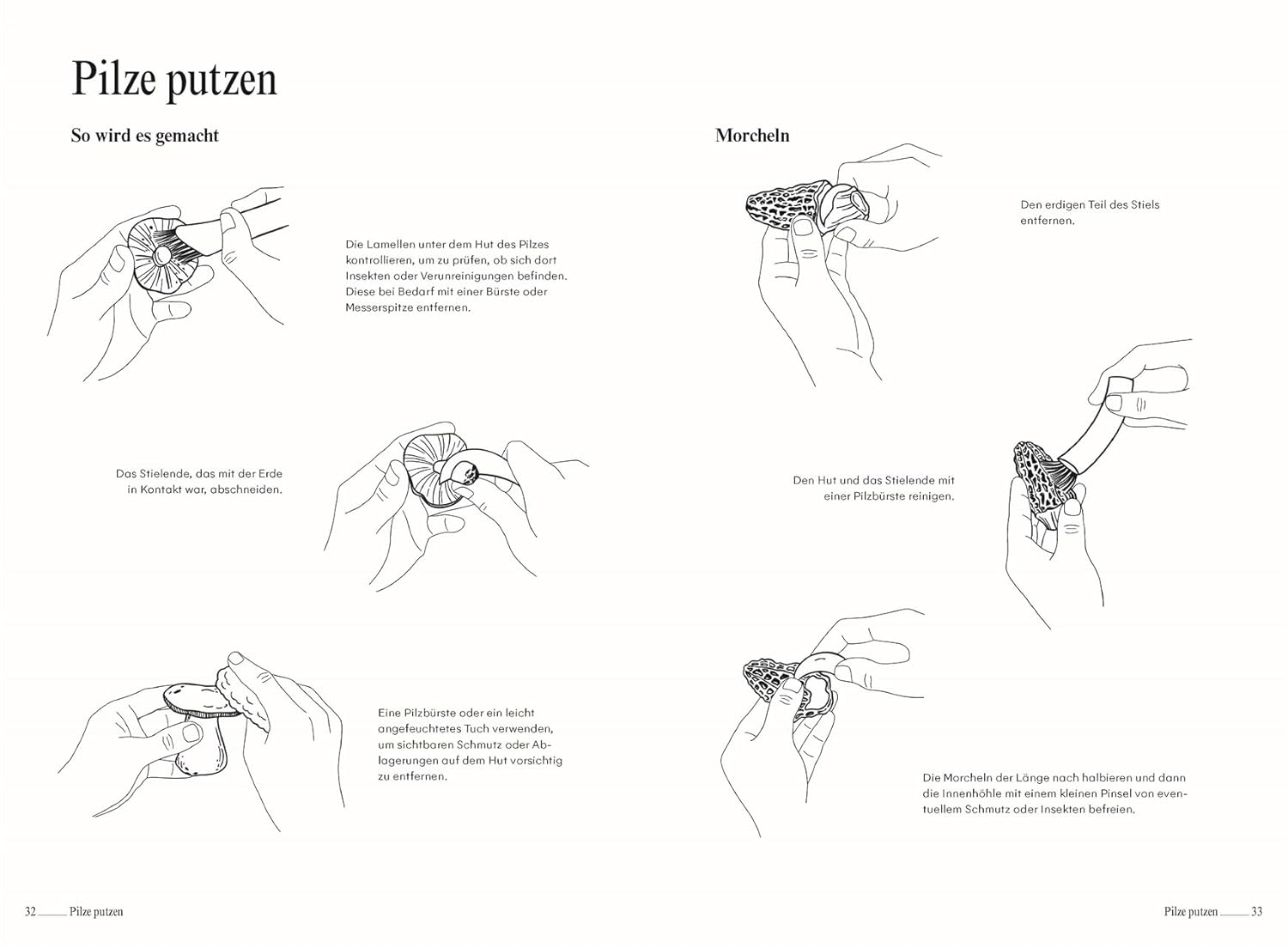 Pilze. Das Kochbuch: Klassische und kreative Rezepte mit Champignons, Seitlingen, Enoki und mehr. Über 60 Pilz-Gerichte & Porträts zu beliebten Pilzsorten DK Verlag Dorling Kindersley