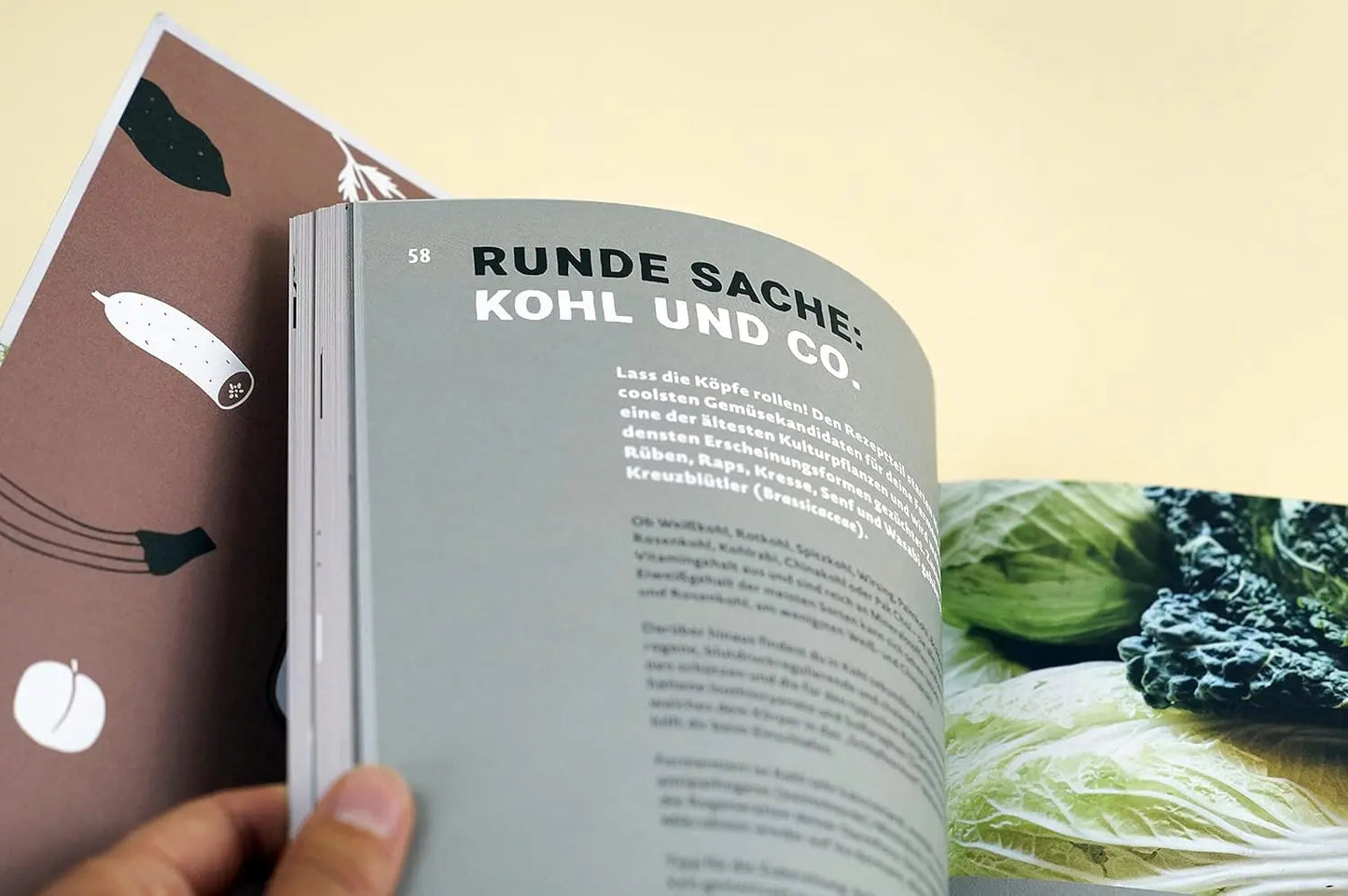 Magic Fermentation: Fermentieren, bis die Gläser überschwappen. 150 Rezepte: für Gemüse, Obst, Sauerteig, Joghurt, Kefir und Kombucha. Gesunde, probiotische Ernährung aus dem Einmachglas Löwenzahn Verlag
