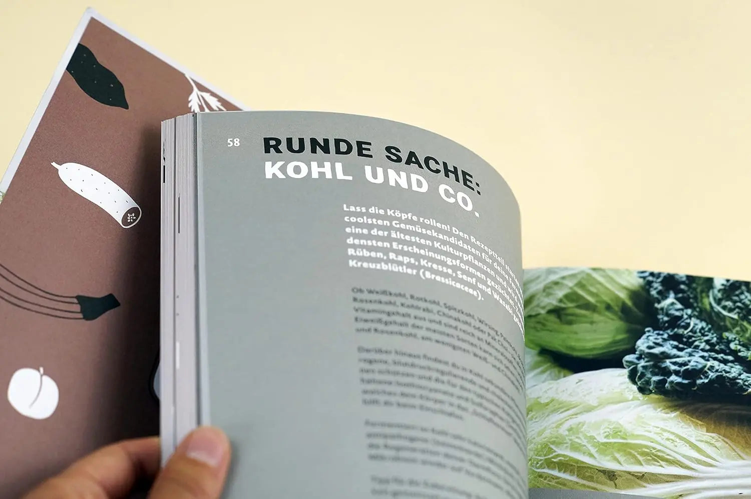 Magic Fermentation: Fermentieren, bis die Gläser überschwappen. 150 Rezepte: für Gemüse, Obst, Sauerteig, Joghurt, Kefir und Kombucha. Gesunde, probiotische Ernährung aus dem Einmachglas Löwenzahn Verlag
