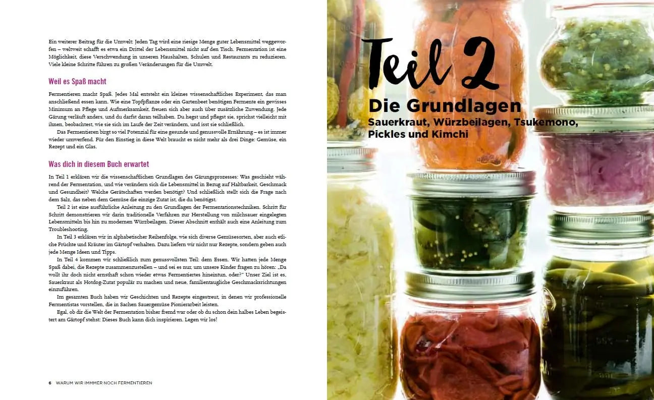 Fermentieren: Gemüse, Obst und Kräuter einfach und natürlich haltbar machen. Praktische Grundlagen. Bewährte Methoden. Über 200 köstliche Rezepte