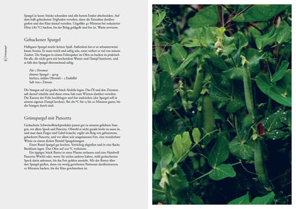 Tender. Gemüse Von der Aubergine bis zur Zwiebel