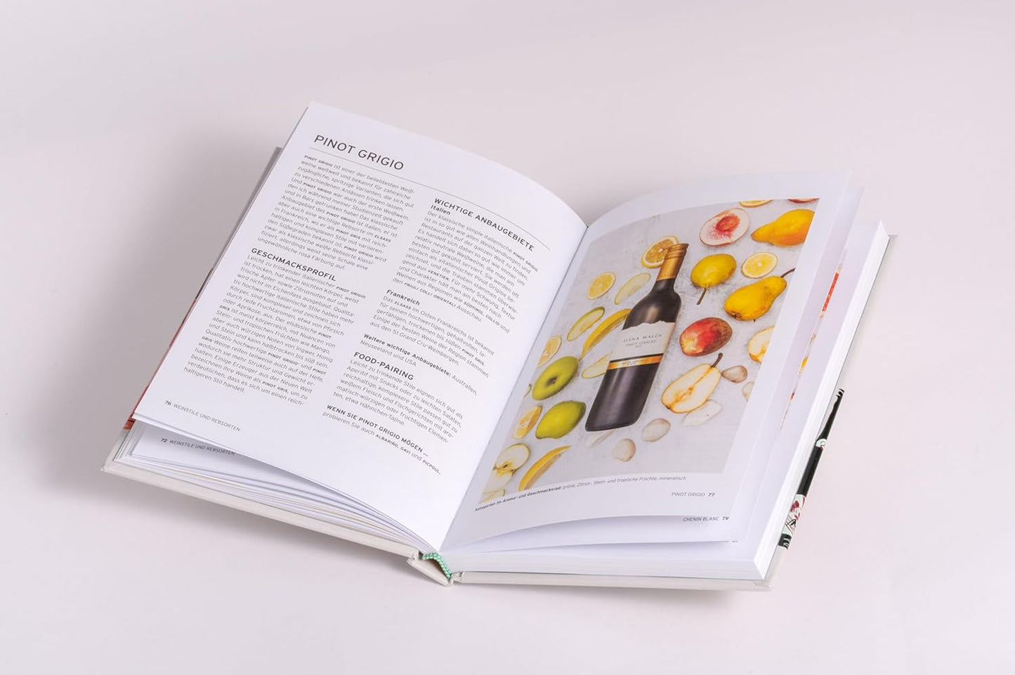 Wein - Der kompakte Guide zu Auswahl und Genuss. Verstehen, entdecken und kombinieren mit dieser übersichtlichen und praktischen Einführung