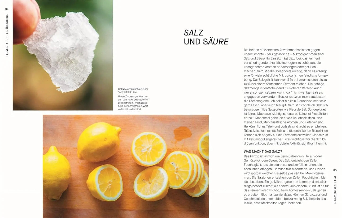 Fermentieren. Rezepte und Techniken für Geschmack, den man nicht kaufen kann: Kimchi, Kombucha, Miso und mehr. Fundiertes Wissen einfach erklärt KochKontor