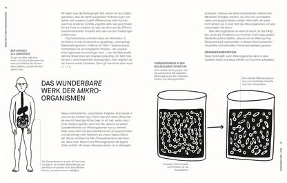 Fermentieren. Rezepte und Techniken für Geschmack, den man nicht kaufen kann: Kimchi, Kombucha, Miso und mehr. Fundiertes Wissen einfach erklärt KochKontor