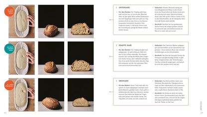 Das große Buch vom Sauerteig: Über 100 Rezepte und Anleitungen für Brote, Gebäck und Süßes. Mit Video-Tutorials zu Teigen und Techniken. Pizza, Brot, Bagels, Zimtschnecken u. v. m.