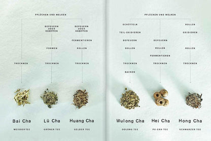 Teatrip - Eine faszinierende Reise durch das Reich der Mitte