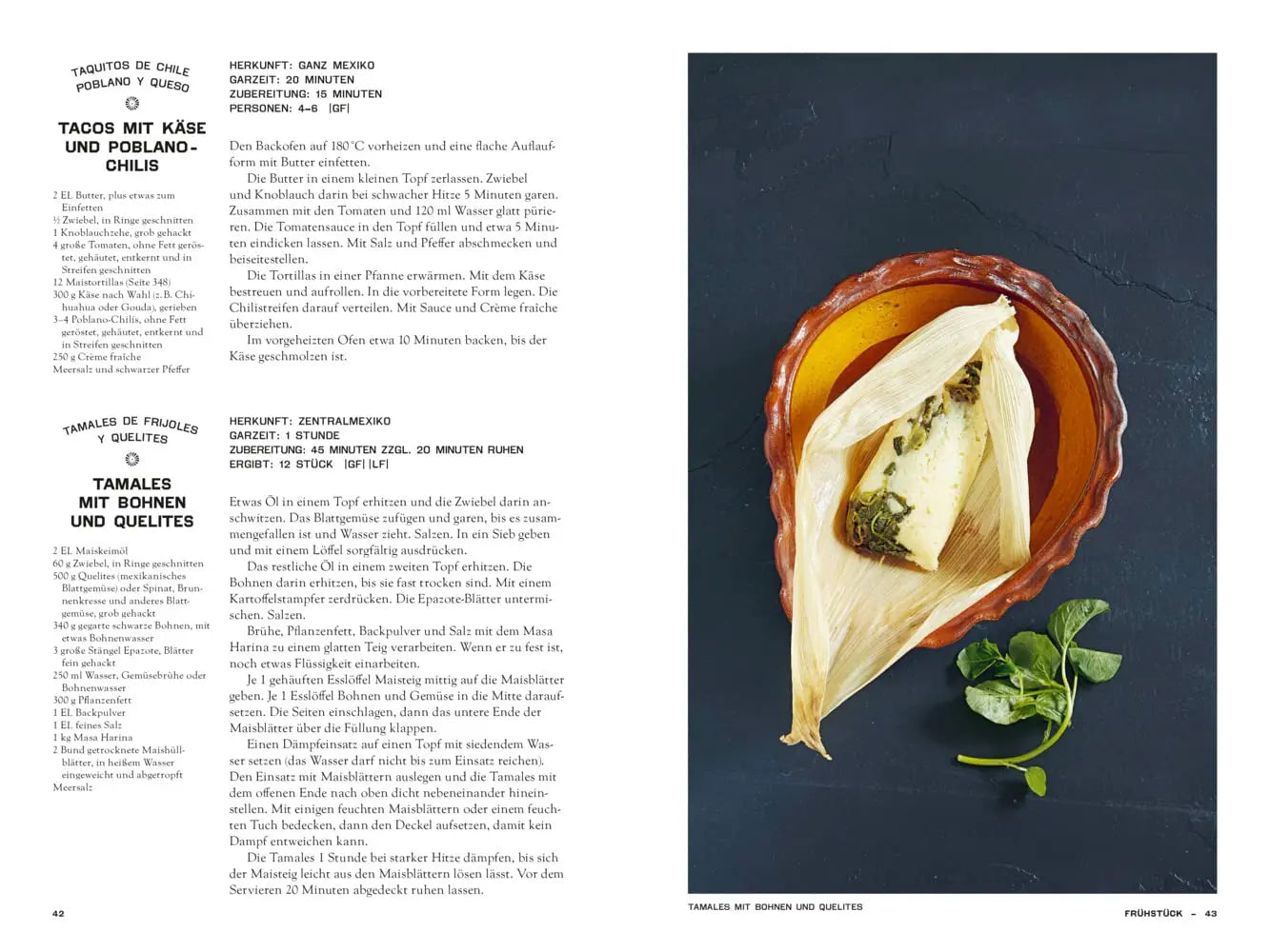 Mexiko vegetarisch – Das Kochbuch, Die grüne Bibel der mexikanischen Küche mit 400 authentischen Rezepten ohne Fisch und Fleisch Phaidon bei ZS