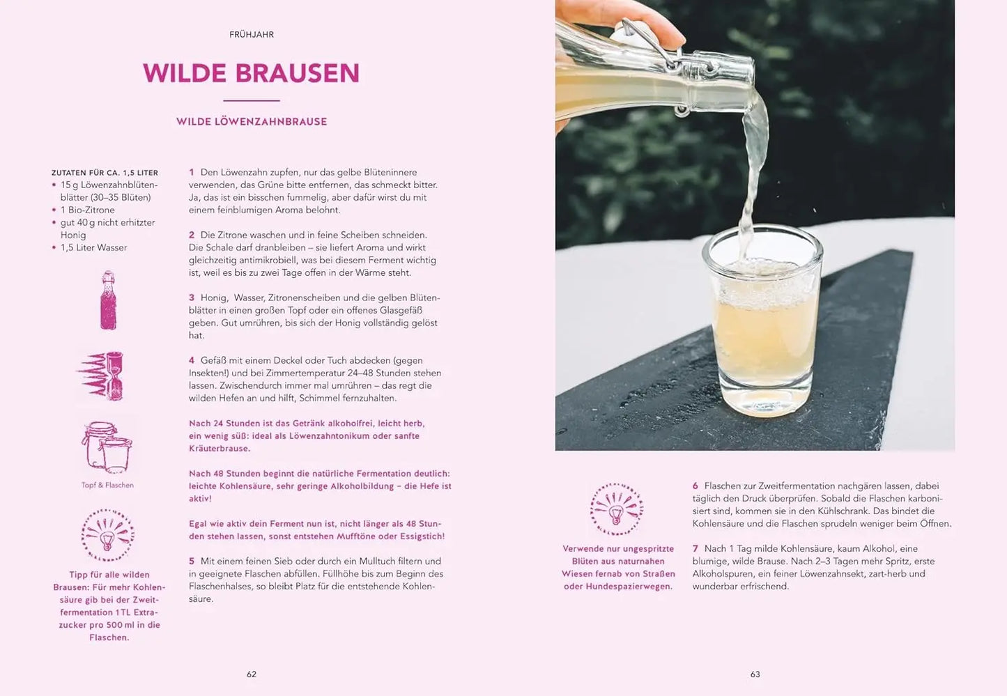 Fermentation: Kimchi, Kombucha & Co. - Lebensmittel einfach selbst haltbar machen und gesund und aromatisch kochen GRÄFE UND UNZER Verlag GmbH
