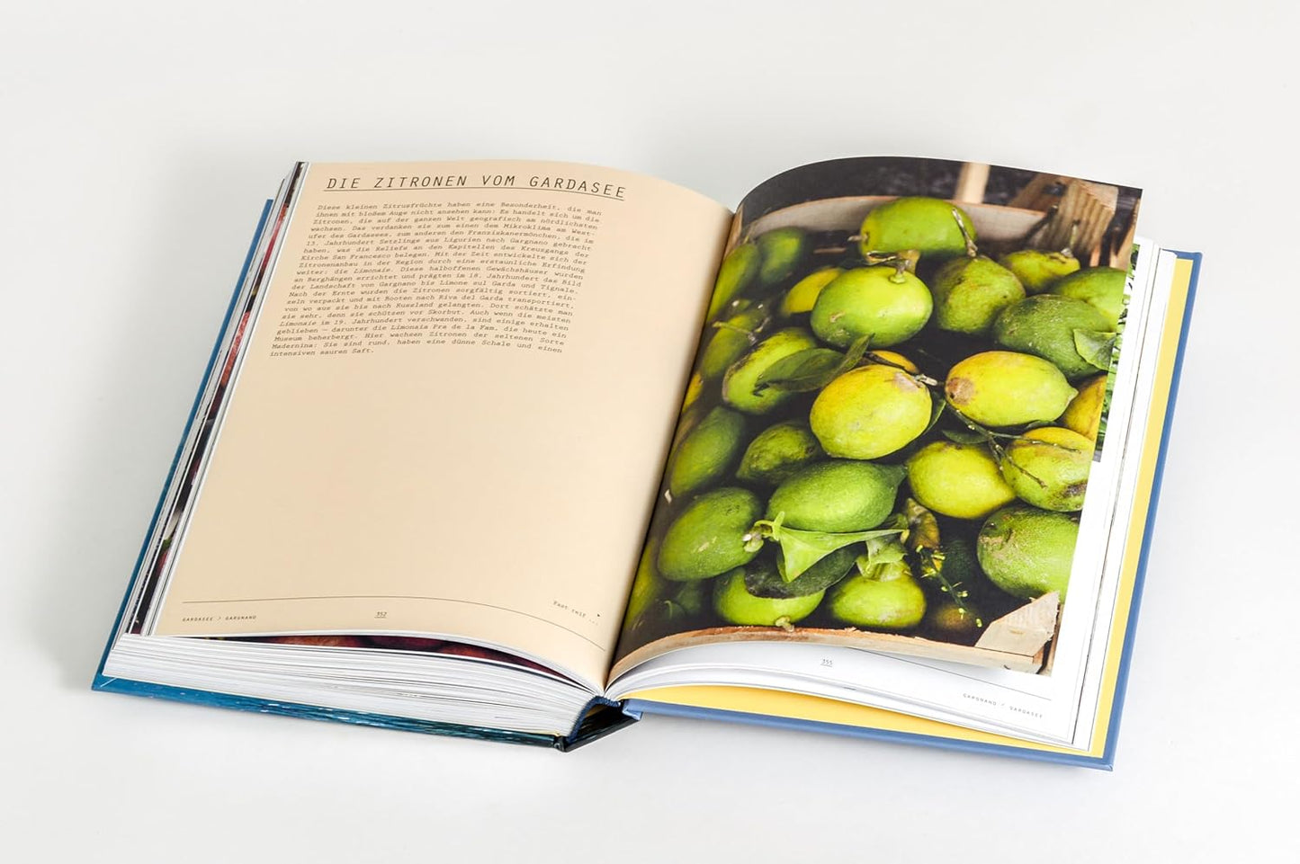 Lago. Die Küche der norditalienischen Seen - 100 Rezepte und nützliche Insidertipps für die nächste Genussreise