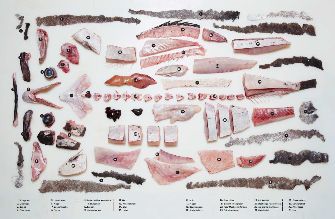 Der ganze Fisch: Rezepte von der Flosse bis zur Kieme: Kochbuch für nachhaltige, ganzheitliche Fischküche: 60 Rezepte und Warenkunde mit Step-by-Step ... Räuchern, Pökeln, Trockenreifen uvm