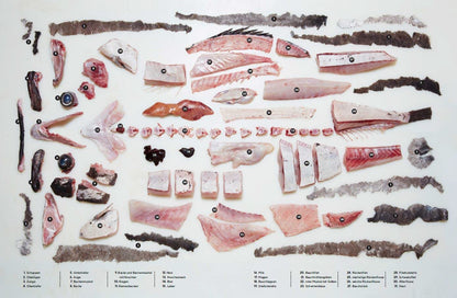 Der ganze Fisch: Rezepte von der Flosse bis zur Kieme: Kochbuch für nachhaltige, ganzheitliche Fischküche: 60 Rezepte und Warenkunde mit Step-by-Step ... Räuchern, Pökeln, Trockenreifen uvm