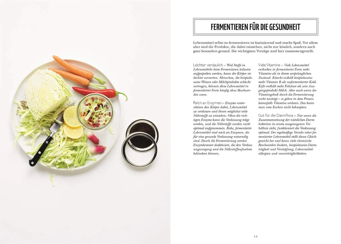 Fermentieren - Für einen gesunden Darm. Über 60 Rezepte für Gemüse, Milchprodukte und Getränke DK Verlag Dorling Kindersley
