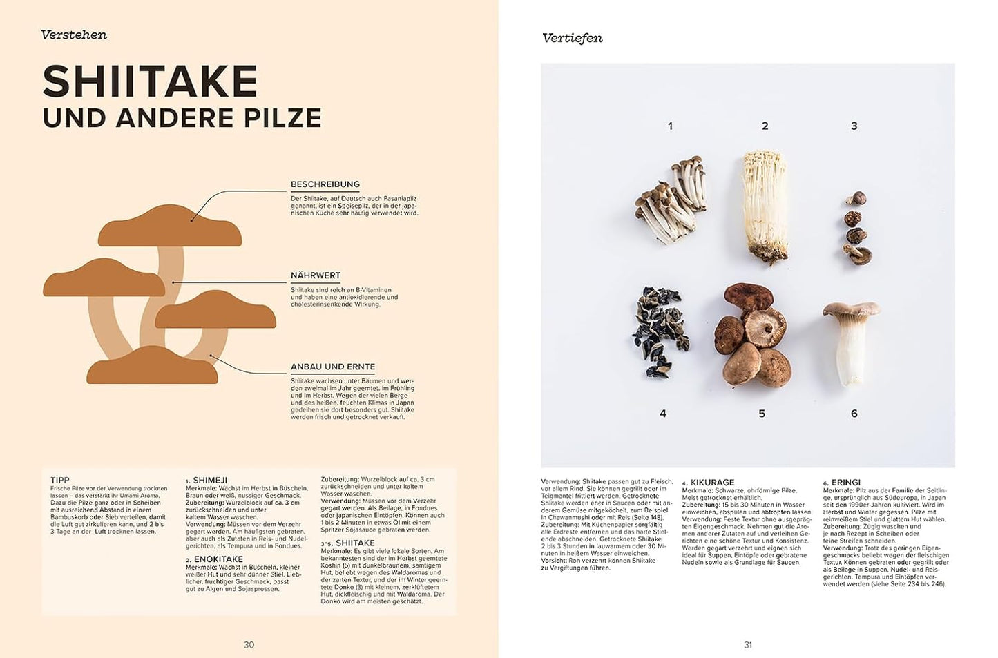 Das große Handbuch der japanischen Küche - Rezepte, Techniken und Produkte der Toskana (Kopie)