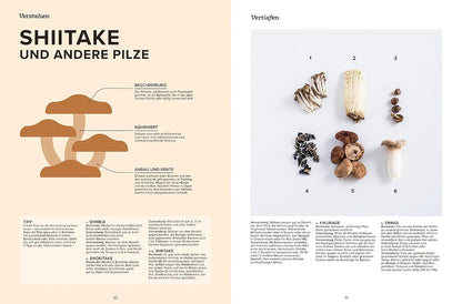 Das große Handbuch der japanischen Küche - Rezepte, Techniken und Produkte der Toskana (Kopie)