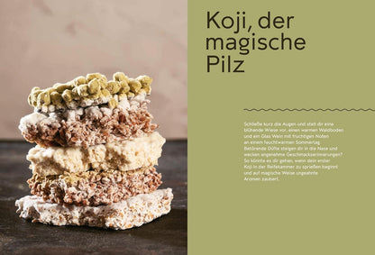 Koji Miso Shoyu Tempeh - Asiatische Fermentation mit heimischen Zutaten – Anleitungen und Rezepte AT Verlag