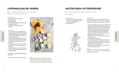 Das kleine Handbuch der Kräuterapotheke: Natürliche Heilmittel für Gesundheit und Wohlbefinden. 125 wirksame Rezepturen für den Alltag