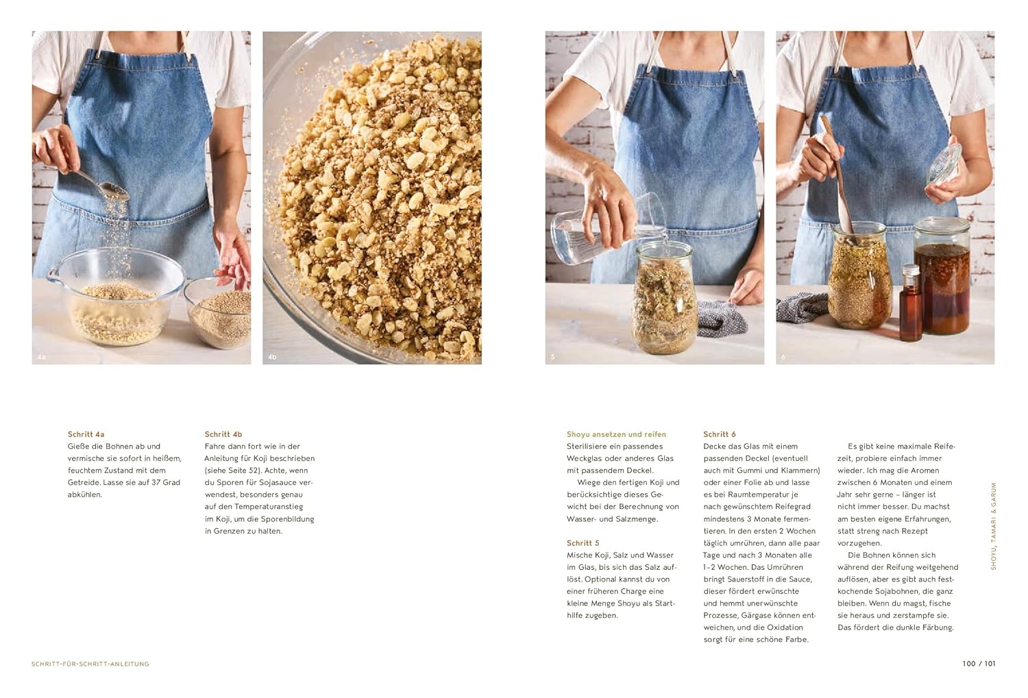 Koji Miso Shoyu Tempeh - Asiatische Fermentation mit heimischen Zutaten – Anleitungen und Rezepte AT Verlag