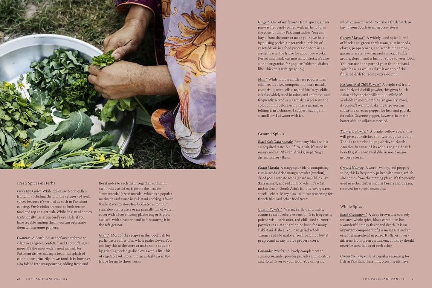 Pakistan: Recipes and Stories from Home Kitchens, Restaurants, and Roadside Stands