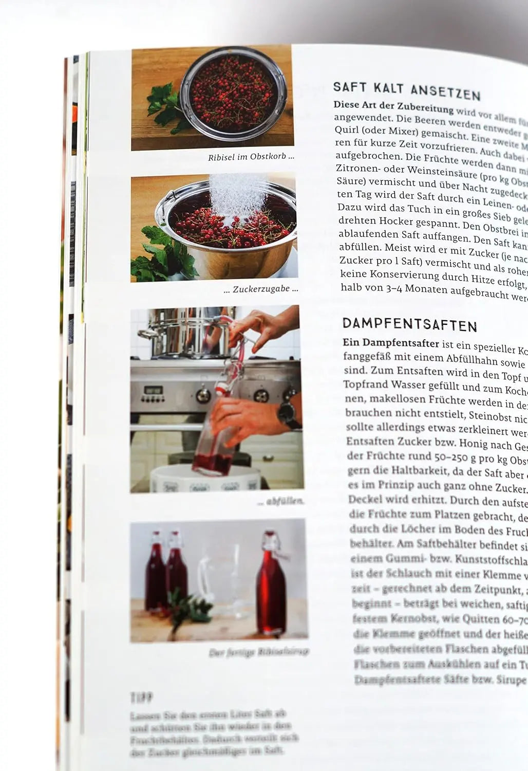 Praxishandbuch natürlich Konservieren: Vorrat aus Gemüse, Obst und Kräutern das ganze Jahr genießen. Alle Methoden & einfache Rezepte zum Haltbarmachen: Marmeladen, Chutneys, Relish, Pickles.
