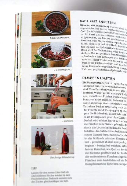 Praxishandbuch natürlich Konservieren: Vorrat aus Gemüse, Obst und Kräutern das ganze Jahr genießen. Alle Methoden & einfache Rezepte zum Haltbarmachen: Marmeladen, Chutneys, Relish, Pickles.