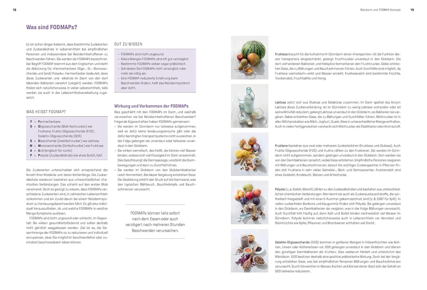 Die FODMAP-Küche bei Reizdarm: 130 leichte Rezepte zum Genießen und Wohlfühlen