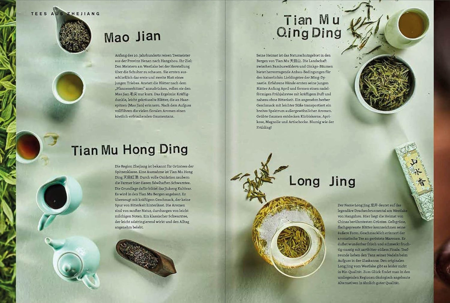 Teatrip - Eine faszinierende Reise durch das Reich der Mitte