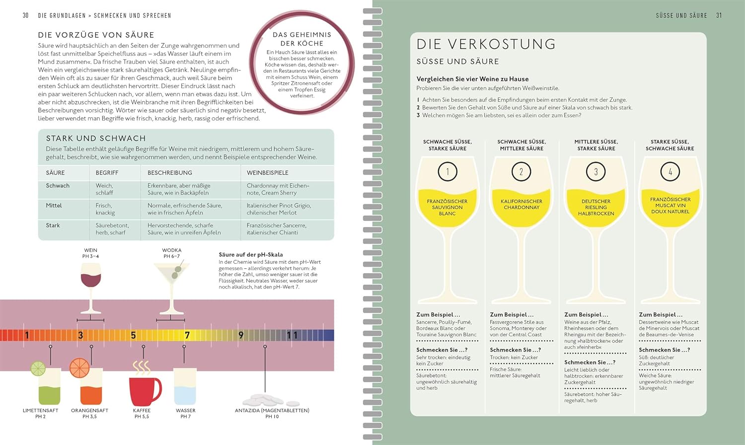 Workshop Wein: Spannendes Weinseminar mit Verkostungsvorschlägen und umfangreichem Wein-Wissen (Entdecken. Verkosten. Genießen.) DK Verlag Dorling Kindersley