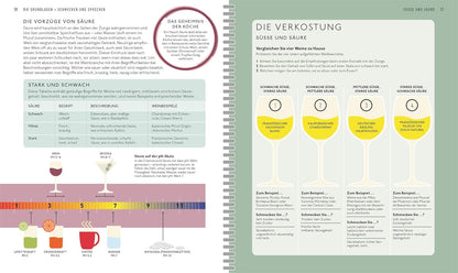 Workshop Wein: Spannendes Weinseminar mit Verkostungsvorschlägen und umfangreichem Wein-Wissen (Entdecken. Verkosten. Genießen.) DK Verlag Dorling Kindersley
