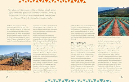Tequila: Die Seele Mexikos