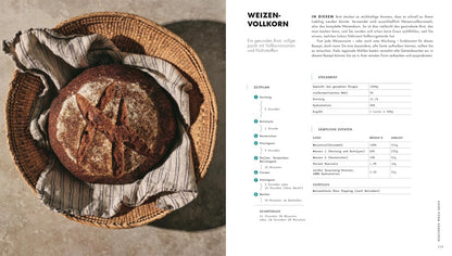 Das große Buch vom Sauerteig: Über 100 Rezepte und Anleitungen für Brote, Gebäck und Süßes. Mit Video-Tutorials zu Teigen und Techniken. Pizza, Brot, Bagels, Zimtschnecken u. v. m.