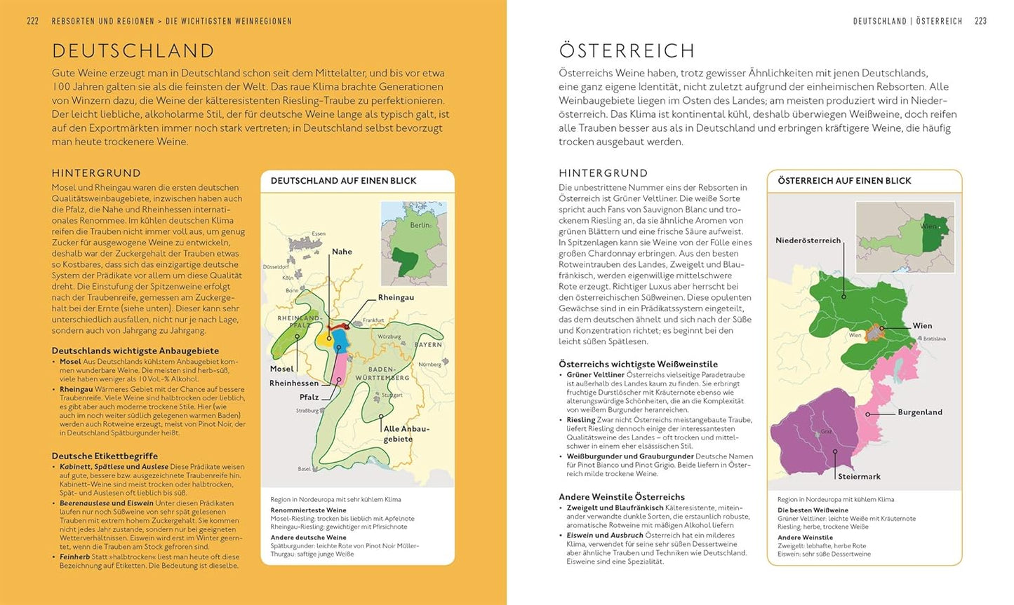 Workshop Wein: Spannendes Weinseminar mit Verkostungsvorschlägen und umfangreichem Wein-Wissen (Entdecken. Verkosten. Genießen.) DK Verlag Dorling Kindersley