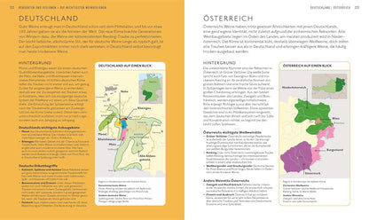 Workshop Wein: Spannendes Weinseminar mit Verkostungsvorschlägen und umfangreichem Wein-Wissen (Entdecken. Verkosten. Genießen.) DK Verlag Dorling Kindersley