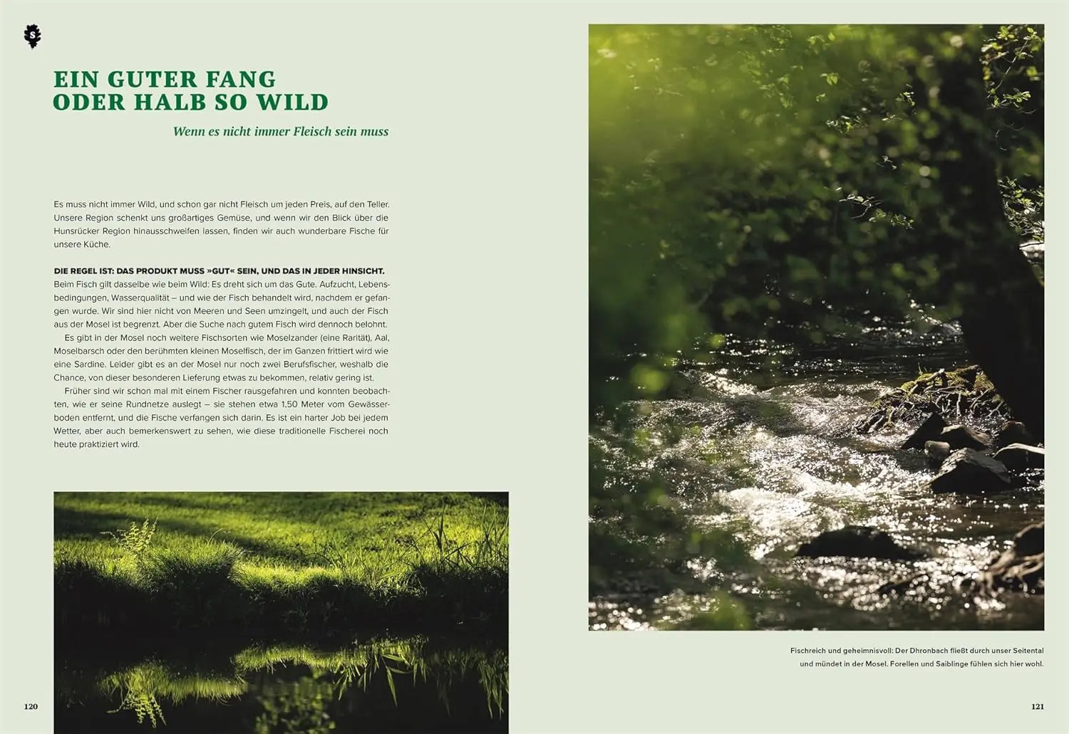 Wilde Zeiten Küche: Unsere Rezepte rund ums Jahr. Wilde Genussrezepte von Wald und Wiese mit Fleisch, Fisch, Kräutern und Pflanzen – natürlich regional DK Verlag Dorling Kindersley