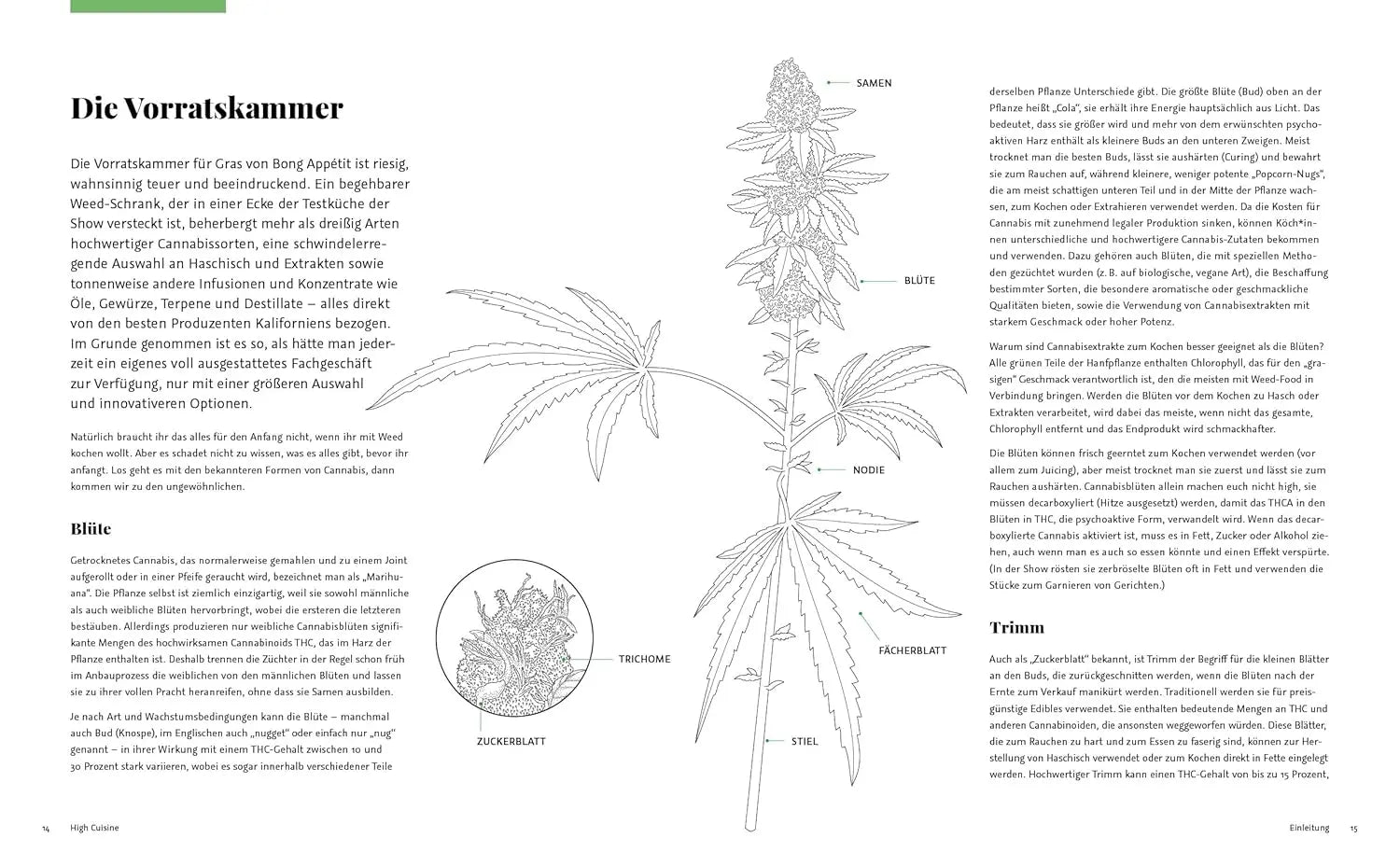 High Cuisine – Cannabis kann was! Kochen & Backen mit THC, CBD und mehr: 60 Rezepte mit allen Grundlagen zu Zubereitung, Pflanzenkunde und Dosierungsempfehlung EMF