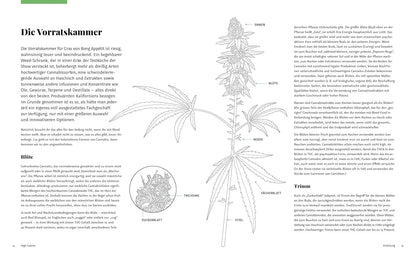 High Cuisine – Cannabis kann was! Kochen & Backen mit THC, CBD und mehr: 60 Rezepte mit allen Grundlagen zu Zubereitung, Pflanzenkunde und Dosierungsempfehlung EMF