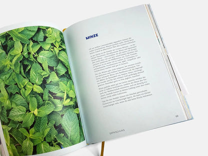 Gut bei Hitze: Erfrischend einfache Rezepte. Sommerrezepte von Katharina Seiser: Kalte Suppen, schnelle Salate, erfrischende Gerichte & Drinks für heiße Tage Brandstätter Verlag