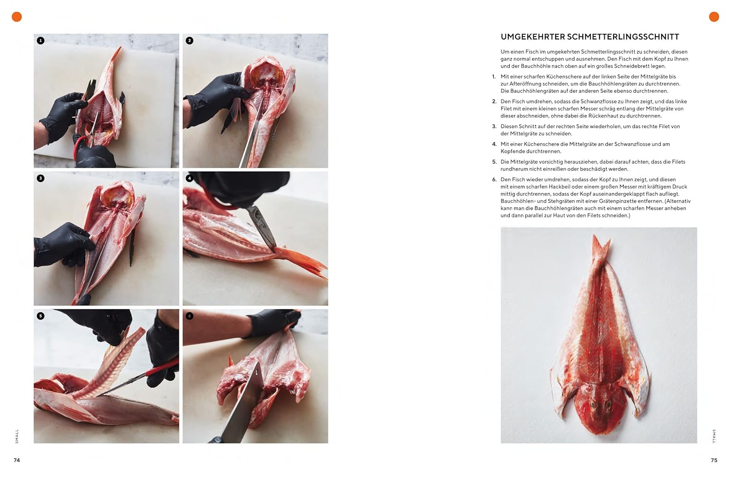 Man nehme einen Fisch: Neue Rezepte von der Flosse bis zur Kieme. 60 nachhaltige Zubereitungsvorschläge (u.a. gegrillt, gebacken, paniert, gefüllt, geräuchert oder trockengereift) Prestel